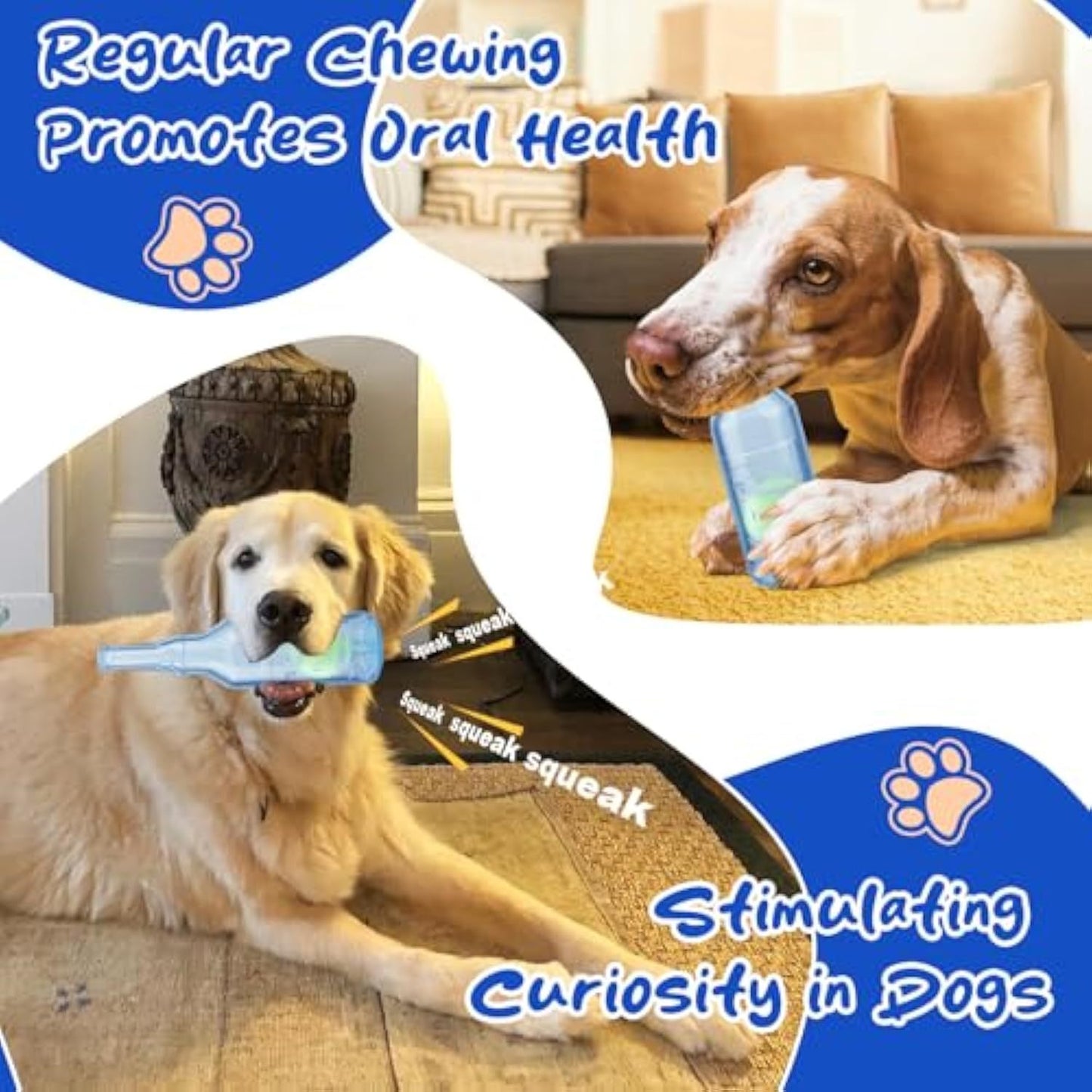 Water Bottle Dog Toy Squeaky Dog Toys