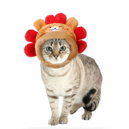 Curly Hair Pet Hat for Cats