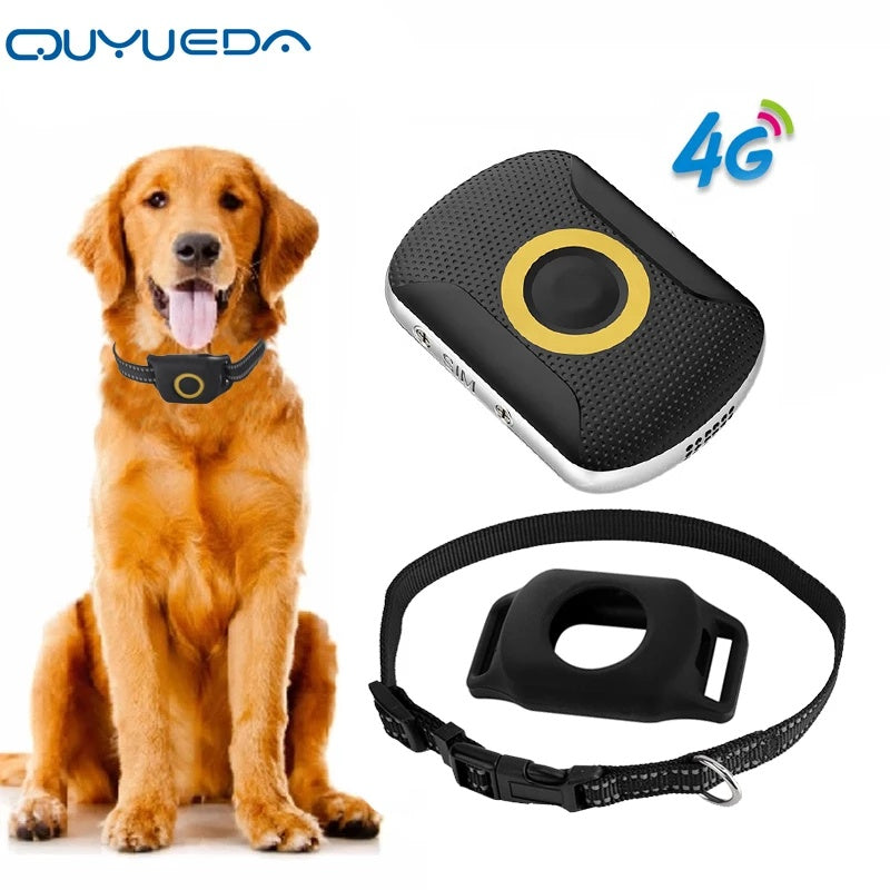 Personal GPS Tracker Children A29 Elders Medicine Reminder Top Quality Pet GPS Tracker Collar