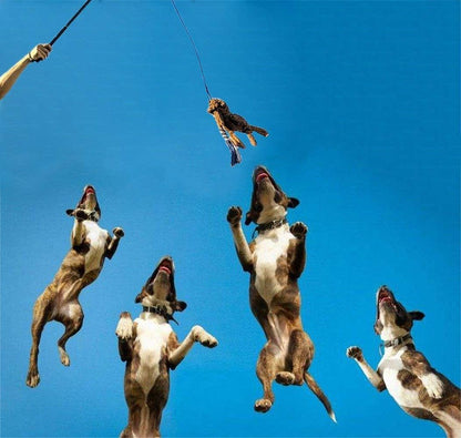 Dog Extendable Teaser Wand Pet Flirt Stick Pole Puppy Chasing Tail Interactive Toy