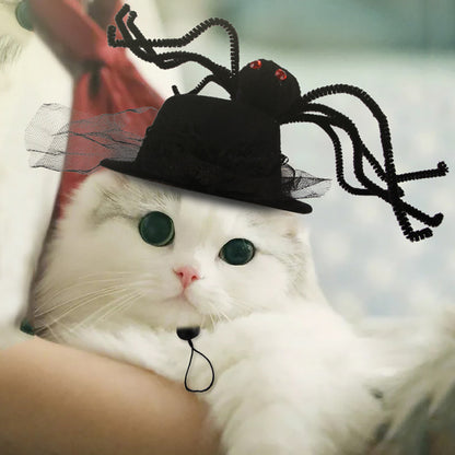 Curly Hair Pet Hat for Cats