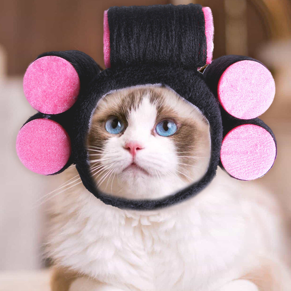Curly Hair Pet Hat for Cats