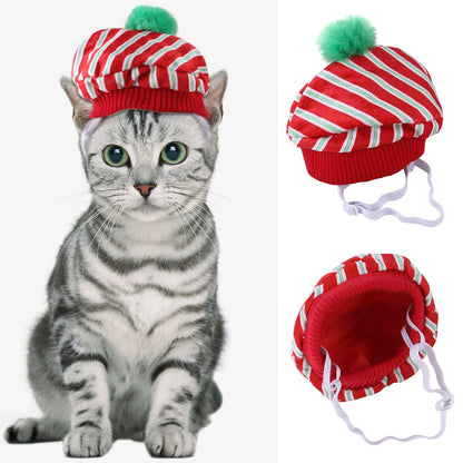 Curly Hair Pet Hat for Cats