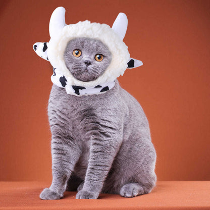 Curly Hair Pet Hat for Cats