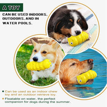 Indestructible Squeaky Dog Chew Toys
