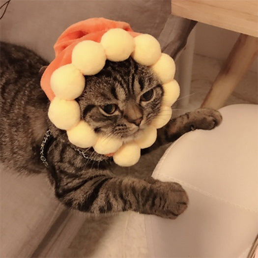 Curly Hair Pet Hat for Cats