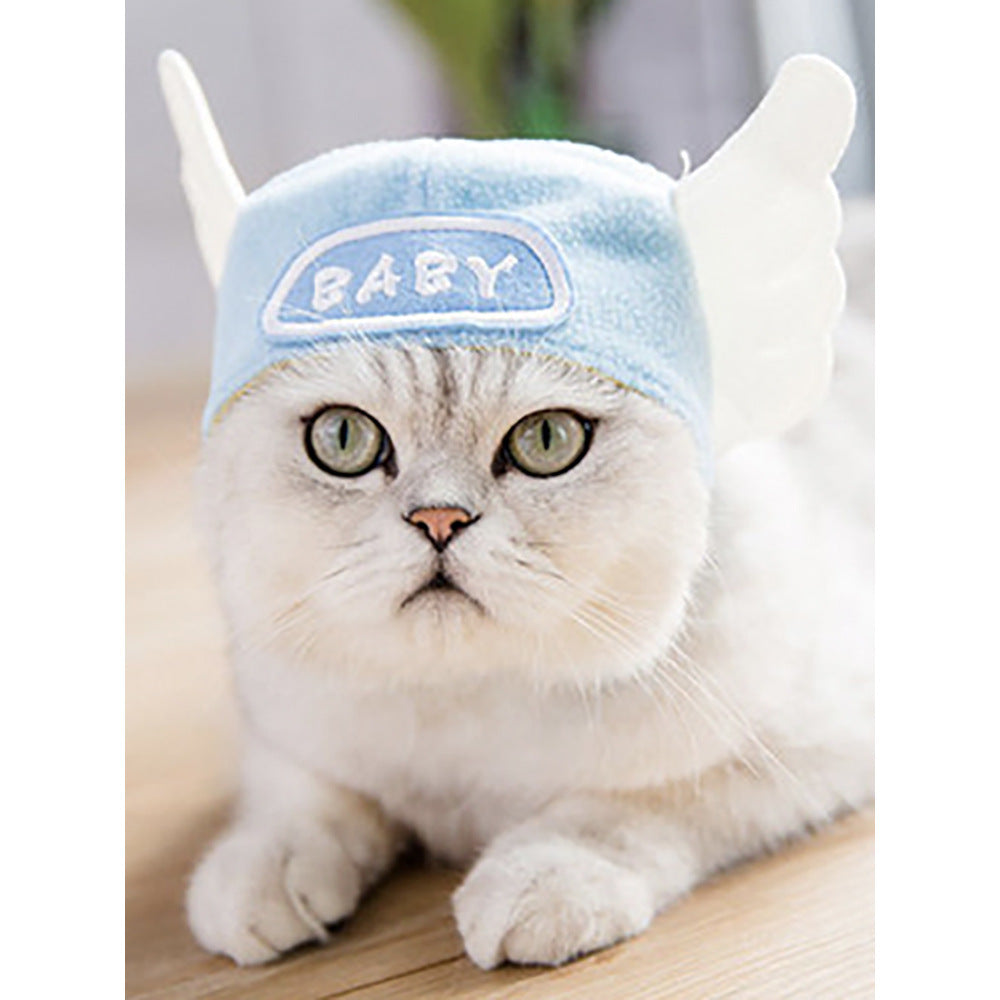 Curly Hair Pet Hat for Cats
