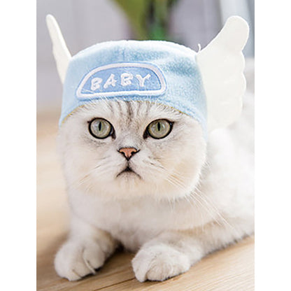 Curly Hair Pet Hat for Cats