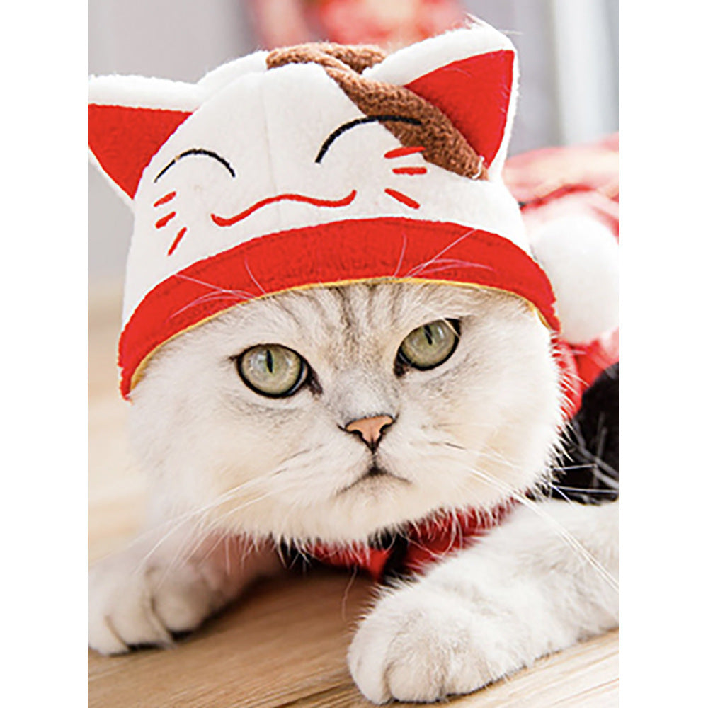 Curly Hair Pet Hat for Cats