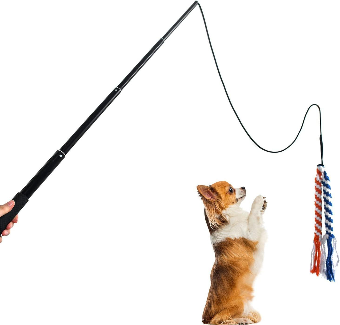 Dog Extendable Teaser Wand Pet Flirt Stick Pole Puppy Chasing Tail Interactive Toy