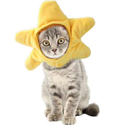 Curly Hair Pet Hat for Cats