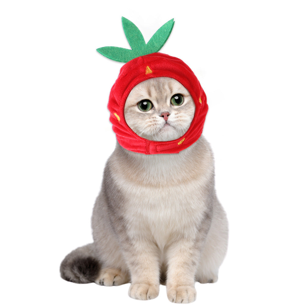 Curly Hair Pet Hat for Cats