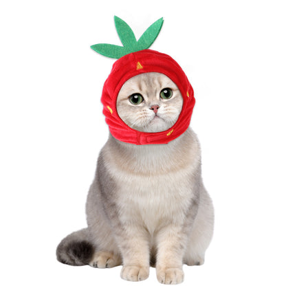 Curly Hair Pet Hat for Cats
