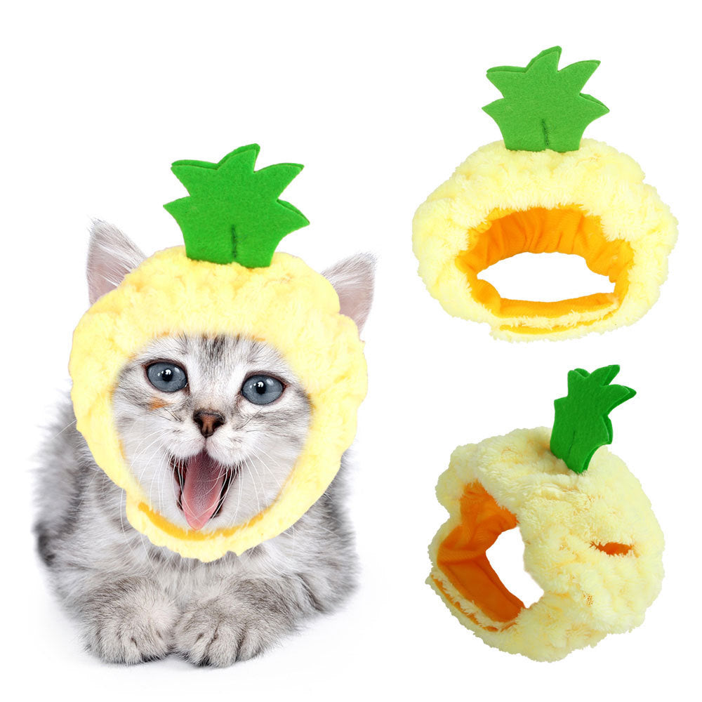 Curly Hair Pet Hat for Cats