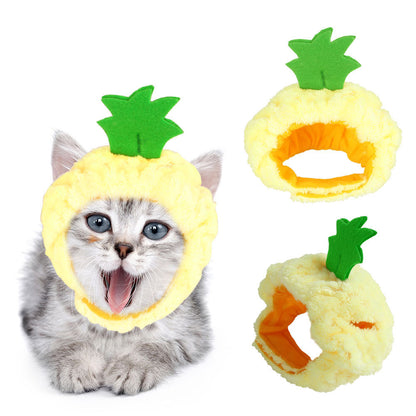 Curly Hair Pet Hat for Cats