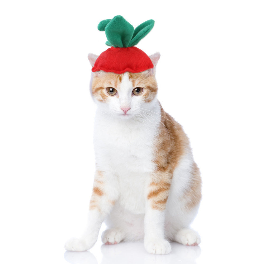 Curly Hair Pet Hat for Cats