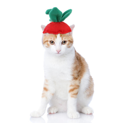 Curly Hair Pet Hat for Cats