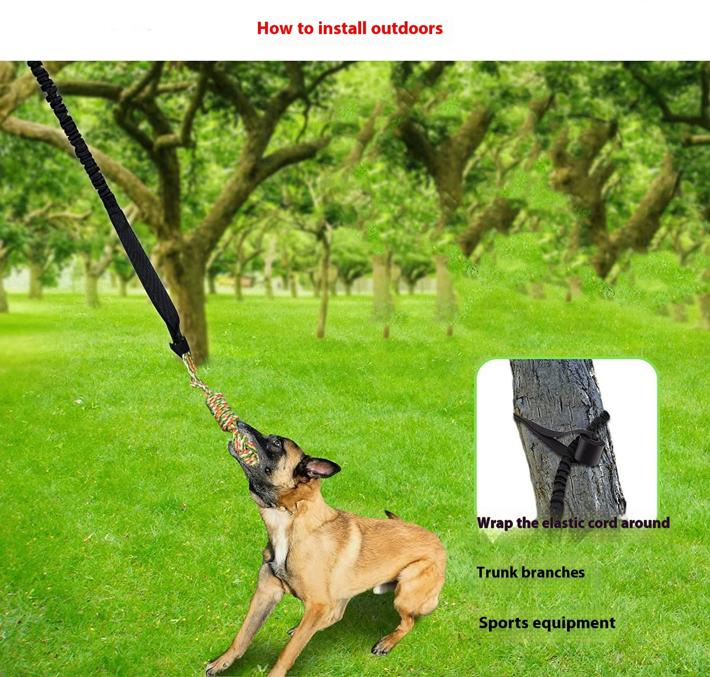 Dog Tug Of War Rope Grinding Toy