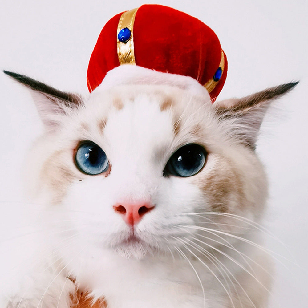 Curly Hair Pet Hat for Cats