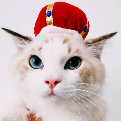 Curly Hair Pet Hat for Cats