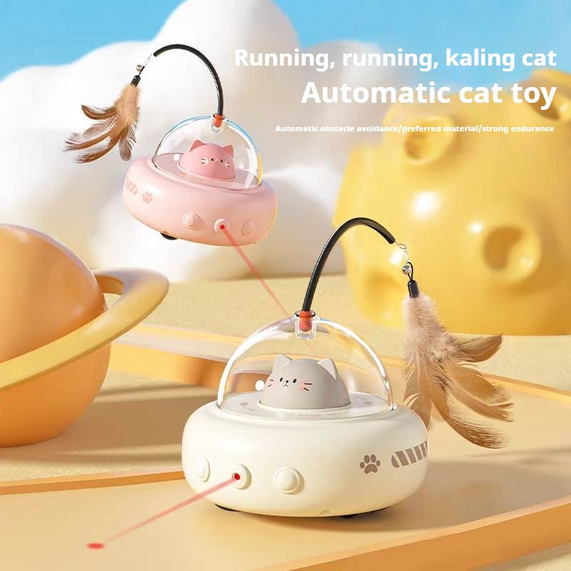 Cat Teasing Toys