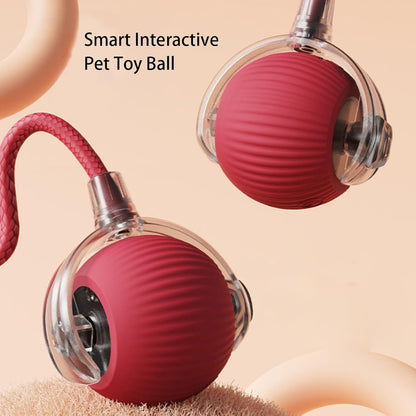Rolling Ball Ball For Dogs Doggie Ball Interactive Dog Smart Ball Toy