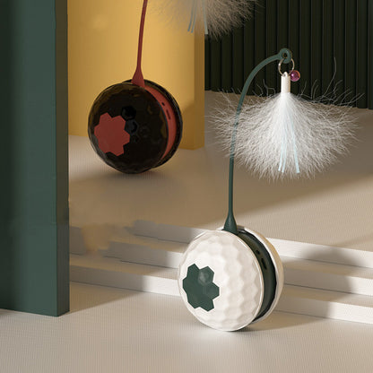 Electric Intelligent Bite Resistant Cat Toys Pet Products